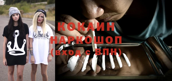 ешки Арсеньев