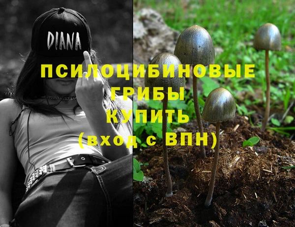 бутират Богданович