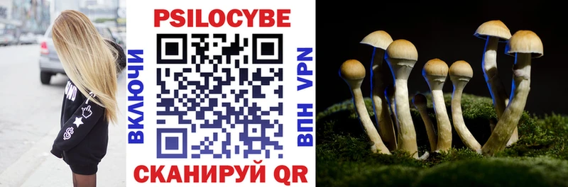 mega зеркало  Надым  Галлюциногенные грибы Psilocybe 