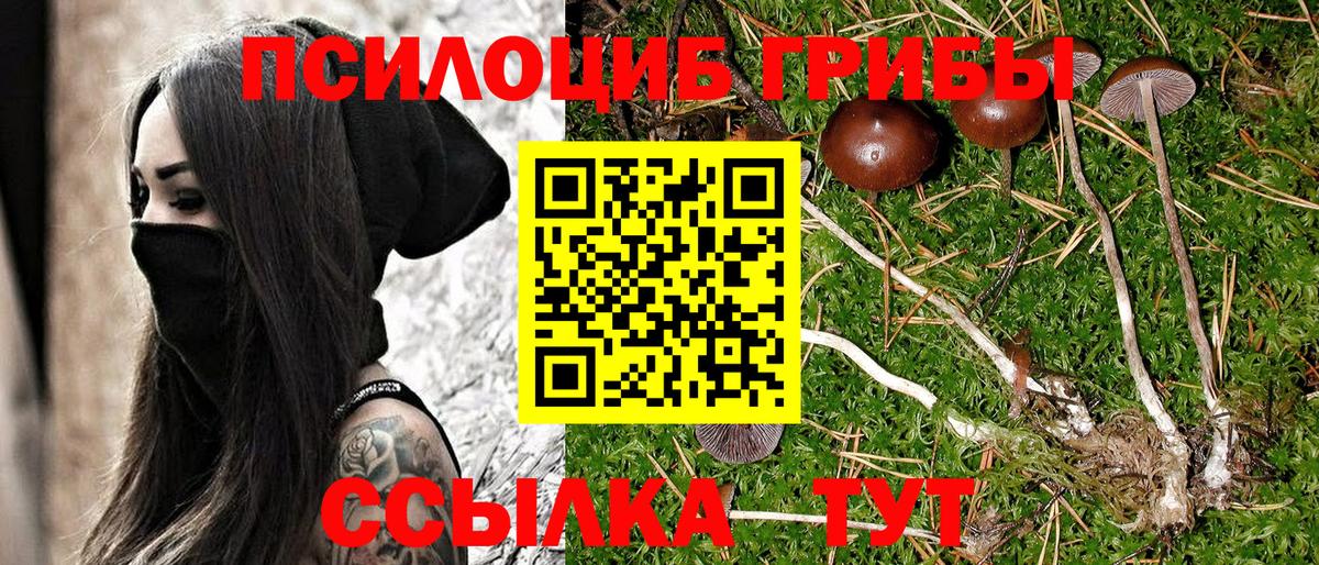 Надым  Псилоцибиновые грибы прущие грибы  Вход с VPN 