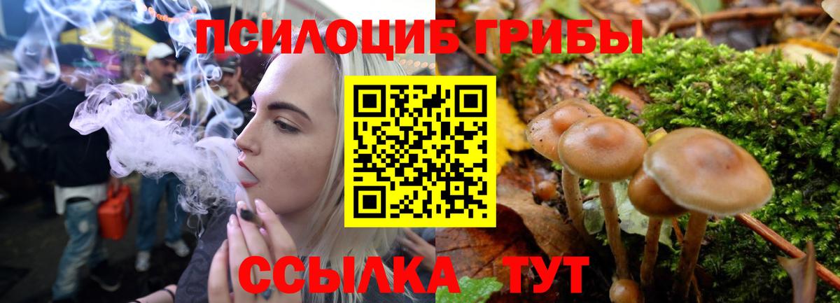 Псилоцибиновые грибы MAGIC MUSHROOMS Надым
